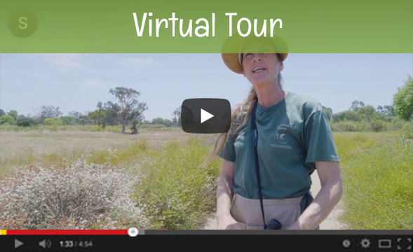 Short tour of Madrona Marsh in Torrance video