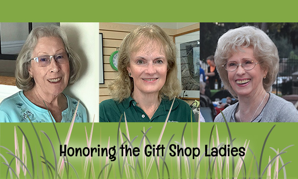 honoring the Madrona Marsh Nature Center gift shop ladies
