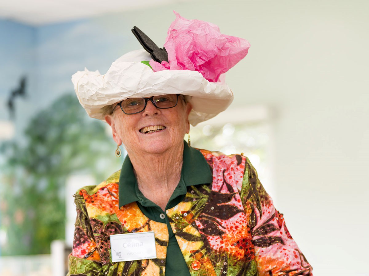 hat-web