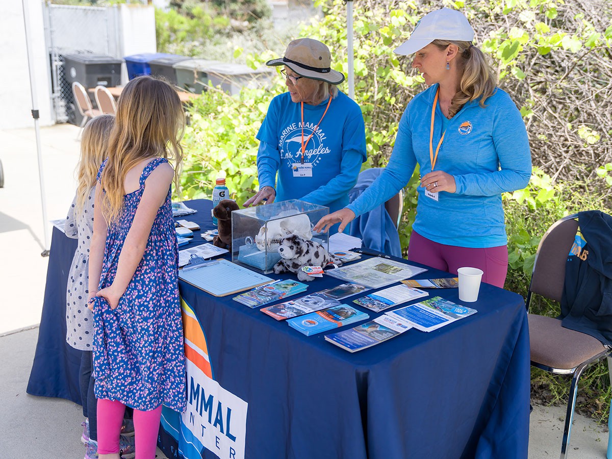 marine-mammals-table-web