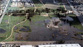1980