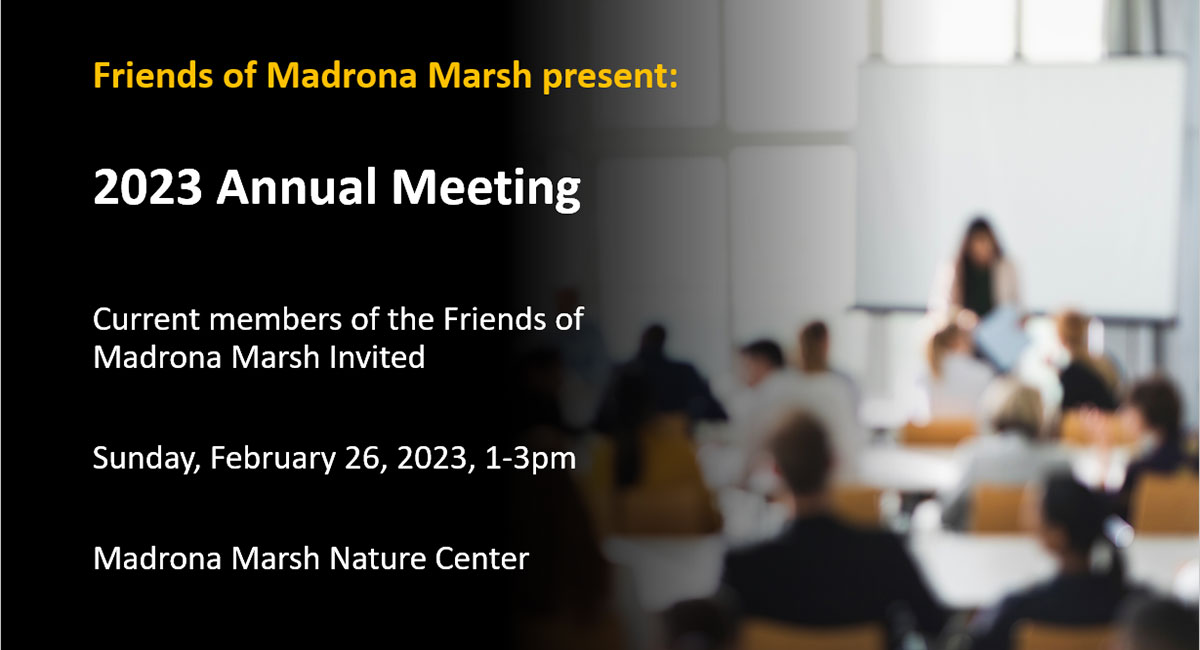 2023 FOMM Annual Meeting