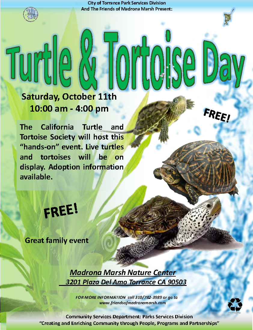 Turtle and Tortoise Day at Mardrona Marsh Nature Center Saturday October 11th, 2025, 10am-4pm
