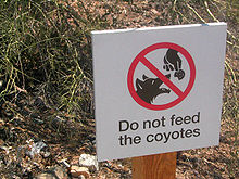 do not feed coyote sign