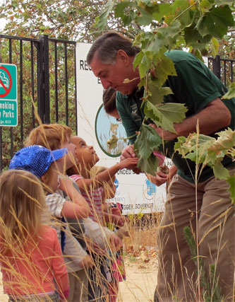 docent volunteer opportunity
