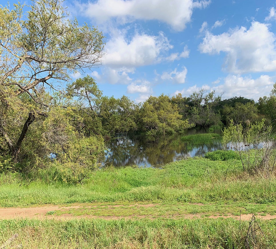 image of Madrona Marsh Preserve