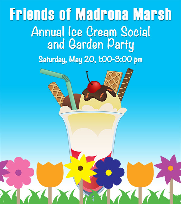 join fundraiser at Lazy Dog Cafe to support Madrona Marsh