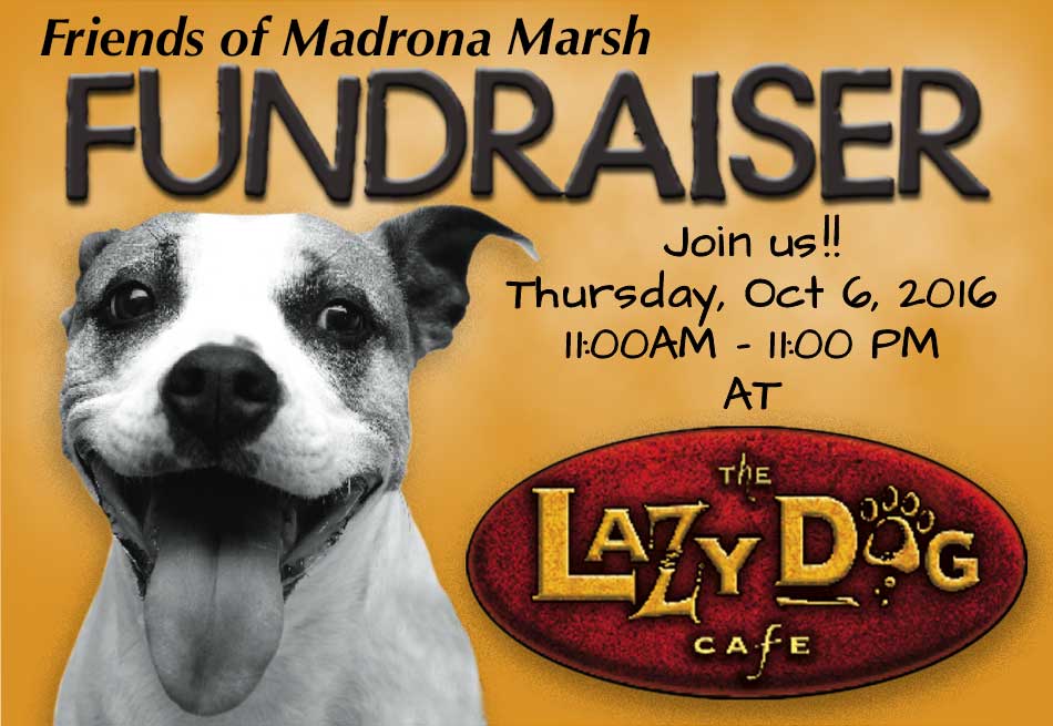 join fundraiser at Lazy Dog Cafe to support Madrona Marsh