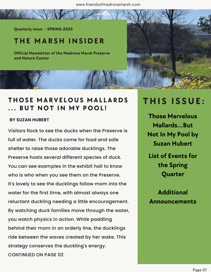 Current Issue of Marsh Insider