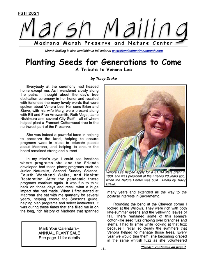Current Issue of Marsh Mailing