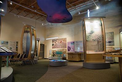 interior of Nature Center