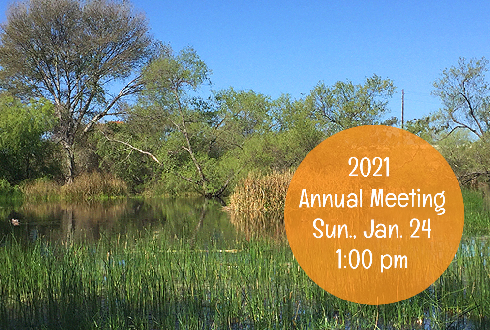 2021 FOMM Annual Meeting