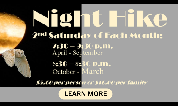 Night Hike the 2nd Saturday of each month at the Madrona Marsh in Torrance