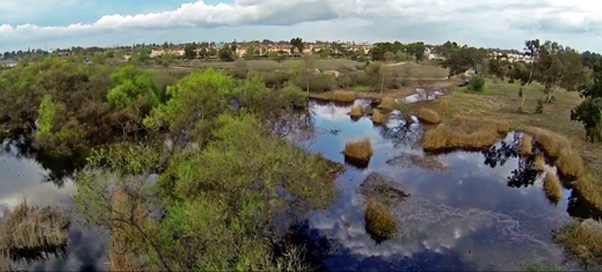 southern california marshland