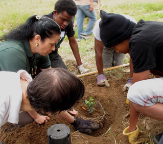 volunteer to restore Madrona Marsh