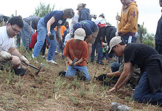 volunteer at Madrona Marsh