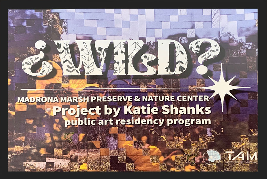 wild public art residency