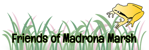 Friends of Madrona Marsh