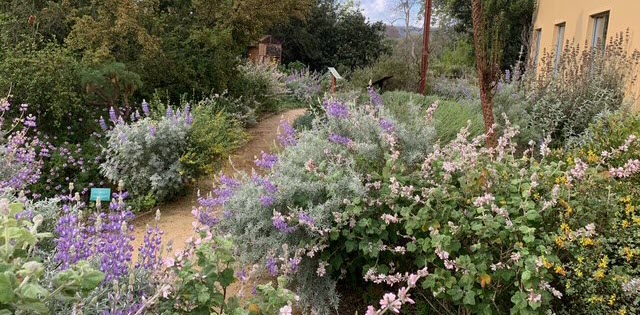 Native Plant Garden History