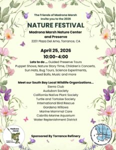 Flyer describing Nature Festival activities