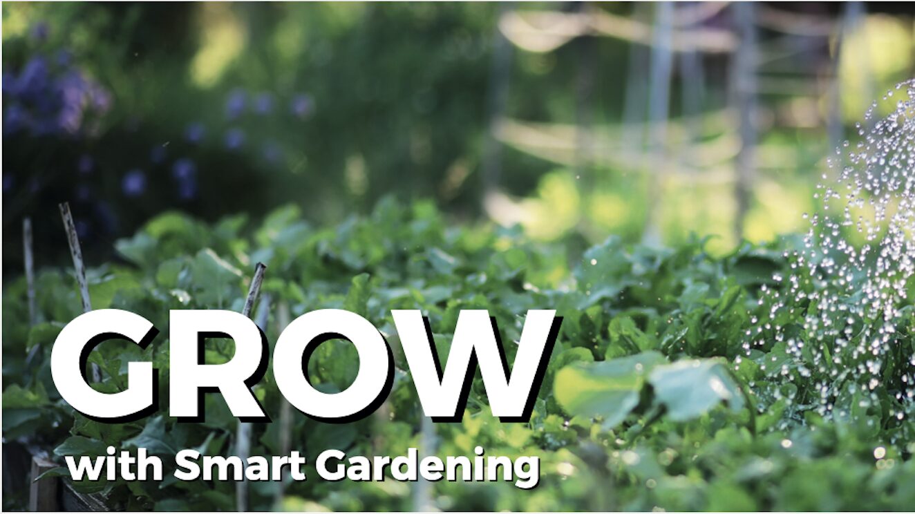 Flyer header for Grow with Smart Gardening workshops