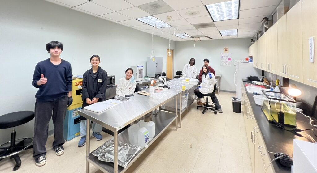 Abstracts of 2026 LA County Science and Engineering Fair Projects Conducted at Madrona Marsh