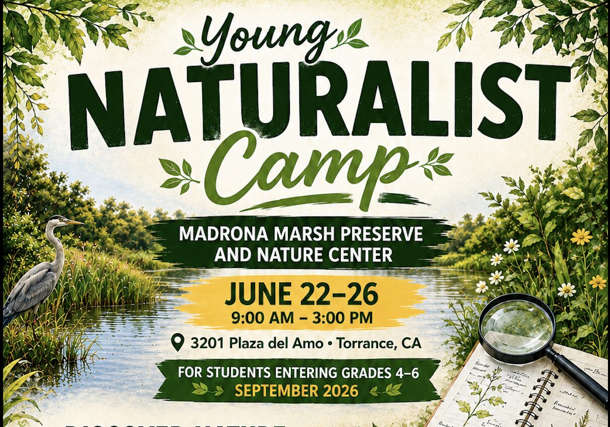 Header for Young Naturalist Flyer