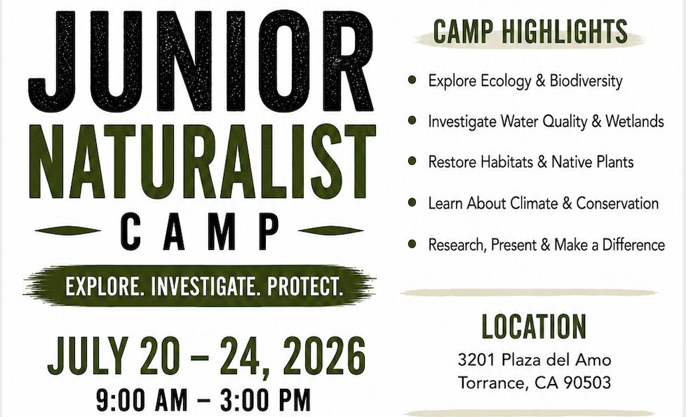 Header for Junior Naturalist flyer