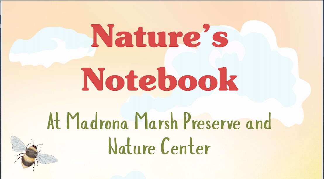 Header from Nature's Notebook flyer