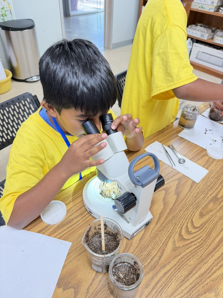 Junior Naturalist examining soil samples through a microscope