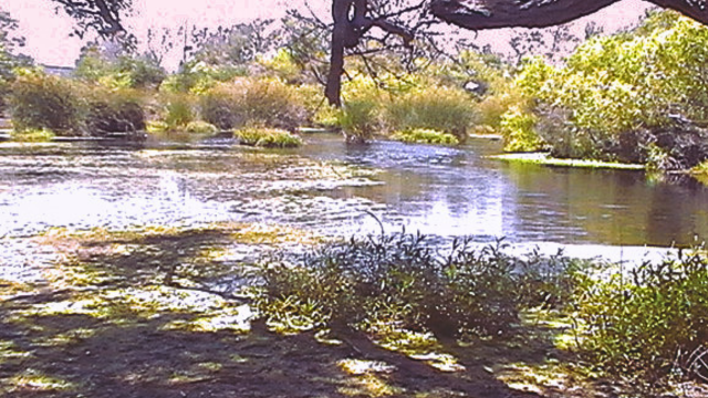 Visitor Reflections…