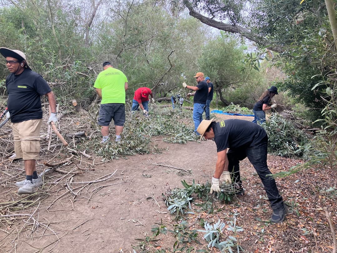 Group of volunteers at Madrona Marsh cleaning a walking path.