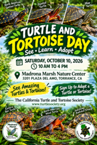 Flyer for Turtle and Tortoise Day on Saturday, 10/10/26